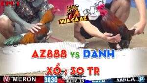 Trận 10 CPC1 04/06/2024 - Anh Tính Gaking Tiếp Tục Nài Gà AZ888