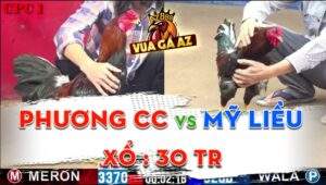 Trận 13 CPC1 08/06/2024 - Idol Phương Tóc Dài Đụng Độ Idol Mỹ Liều