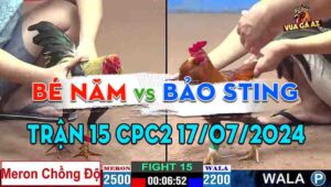 Trận 15 CPC2 17/07/2024 - Bé Năm Chồng Độ Gà Chuối Lụm Luôn Bảo Sting