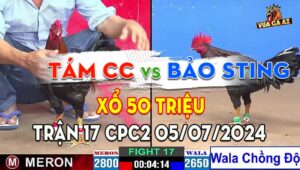 Trận 17 CPC2 05/07/2024 - Gà Bảo Sting Tiếp Tục Chồng Độ, Vẫn Thắng