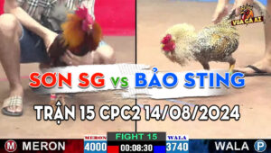 Trận 15 CPC2 14/08/2024 - Anh Bảo Sting Đá 7 Trận, Thắng Hết 6
