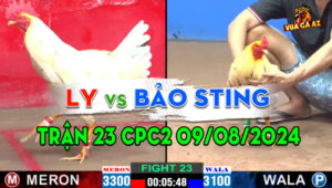 Trận 23 CPC2 09/08/2024 - Trận Thắng Đầu Tiên Của Bảo Sting
