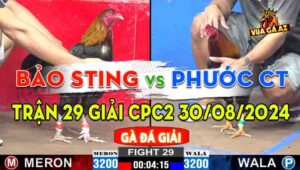Trận 29 Giải CPC2 30/08/2024 - Anh Bảo Sting Đối Đầu Anh Phước Cần Thơ