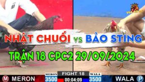 Trận 18 CPC2 29/09/2024 - Bướm Hiệu Bảo Sting Không Phụ Lòng Anh Em