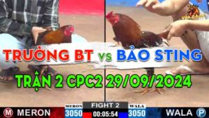 Trận 2 CPC2 29/09/2024 - Anh Bảo Sting Dí Bạc Anh Trường Bến Tre Ăn 5