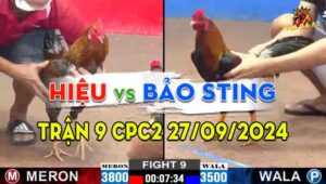 Trận 9 CPC2 27/09/2024 - Anh Bảo Sting Chấp Anh Hiếu Tới 3 Chấm