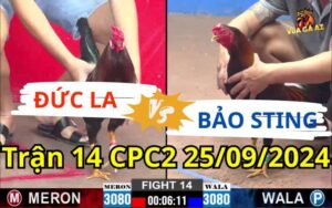 Trận 14 CPC2 25/09/2024 - Anh Đức Long An Gặp Bảo Sting
