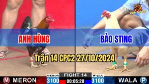 Trận 14 CPC2 27/10/2024 giữa anh Hùng và anh Bảo Sting