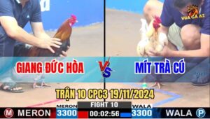Trận 10 CPC3 19/11/2024 - Mẻ Bướm Của Anh Mít Trà Cú Đâm Như Chỉa