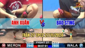 Trận 27 CPC2 27/11/2024 - Anh Xuân Hạ Cánh Gà Trấn Giữ C2 Bảo Sting