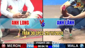 Trận 30 CPC2 29/11/2024 - Anh Long Quá Hừng Với 6 Trận Thắng Thông