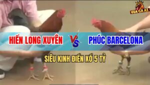 Trân Gà Xổ 5 Tỷ Giữa Phúc Barcelona Và Hiển Long Xuyên