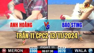 Trận 11 CPC2 13/11/2024 giữa anh Hoàng và anh Anh Bảo Sting