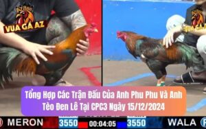 Tổng Hợp Các Trận Đấu Của Anh Phu Phu Và Anh Tèo Đen Lê Tại CPC3