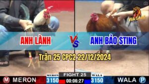 Trận 25 CPC2 22/12/2024 - Điều Cọp Của Anh Bảo Sting Đâm Cựa Quá Tịch