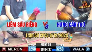 Trận 58 CPC3 8/12/2024 - Gà Anh Liêm Hạ Knock-Out Gà Anh Hưng Cần Thơ