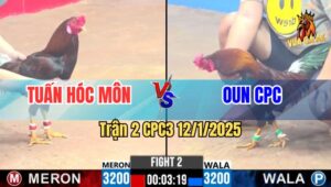 Trận 2 CPC3 12/1/2025 - Gà Điều Xanh Đá Mấy Chân Đưa Đối Thủ Về Nhà