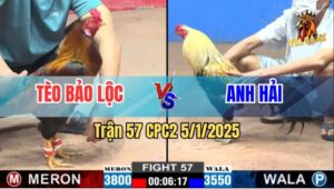 Trận 57 CPC2 5/1/2025 - Anh Tèo Bảo Lộc Và Anh Hải Bất Phân Thắng Bại