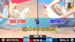 Trận 18 CPC3 12/1/2025 - Bảo Sting Và Duyên Ti Tái Ngộ Xổ 1 Tỷ Tại C3
