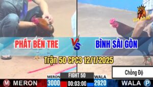 Trận 50 CPC3 12/1/2025 - Gà Khét Anh Phát Lụm Xổ Gà Điều Chồng Độ