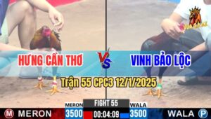 Trận 55 CPC3 12/1/2025 - Anh Hưng Cần Thơ Đối Đầu Anh Đen Bảo Lộc