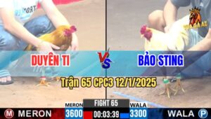 Trận 65 CPC3 12/1/2025 - Khét Xịn Duyên Ti Đụng Độ Bướm Hiệu Bảo Sting