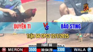 Trận 66 CPC3 12/1/2025 - Điều Mẻ Hiệu Duyên Ti Hạ Bướm Xịn Bảo Sting