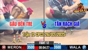 Trận 12 CPC3 26/2/2025 - Anh Gấu Hạ Anh Tân Lụm Cái Xổ 300 Ngon Xớt