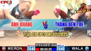 Trận 24 CPC1 8/2/2025 - Nài Gà AZ888 Cứu Thua Ngoạn Mục Quá Đẳng Cấp