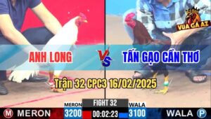 Trận 32 CPC3 16/2/2025 - Gà Điều Anh Tấn Bón Hành Gà Úa Anh Long
