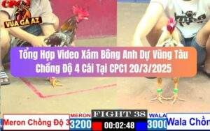 Tổng Hợp Video Xám Bông Anh Dự Vũng Tàu Chồng Độ 4 Tại CPC1 20/3/2025