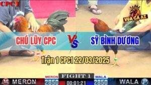 Trận 1 CPC1 22/3/2025 - Chú Lũy Campuchia Mở Bát Mất Cái Bóp 100