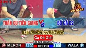 Trận 25 CPC1 22/3/2025 - Anh Tuấn Cu Tiền Giang Và Bồ Gà C2
