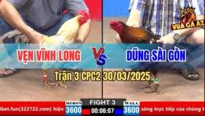 Trận 3 CPC2 30/3/2025 - Má Minh Thả Dùm Bị Đá Gãy Cổ