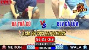 Trận 36 CPC1 22/3/2025 - BLV Gà Lửa Bị Anh Ba Trà Cú Gạt Giò