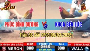 Trận 36 Giải CPC3 8/3/2025 - Chú Phúc Bình Dương A Vs Anh Khoa Bến Lức