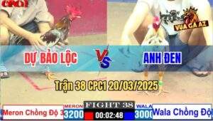 Trận 38 CPC1 20/3/2025 - Xám Bông Anh Dự Vũng Tàu Lên 4 Không Thành