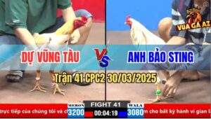 Trận 41 CPC2 30/3/2025 - Anh Bảo Sting Lụm Anh Dự Vũng Tàu 3 Tay Trắng