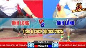 Trận 6 CPC2 30/3/2025 - Điều Cọp Anh Long Đá 3 Chấn Úa Anh Lành Bay Bồ