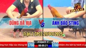 Trận 7 CPC1 21/3/2025 - Anh Bảo Sting Tiếp Tục Hạ Anh Dũng Bà Rịa