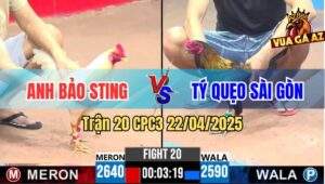Trận 20 CPC3 22/4/2025 - Anh Bảo Sting Rớt Nài Trước Anh Tý Quẹo