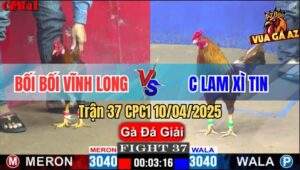 Trận 37 CPC1 10/4/2025 - Bối Bối Vĩnh Long Và Chị Lam Xì Tin