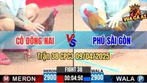 Trận 38 CPC3 9/4/2025 - Điều Cọp Anh Cò Đồng Nai Đâm Cựa Như Sam Sít