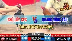 Trận 4 CPC3 1/4/2025 - Gà Điều Anh Quang Hạ Mẻ Xanh Hiệu Của Idol