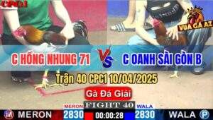 Trận 40 CPC1 10/4/2025 - Chị Hồng Nhung 71 Và Chị Oanh Sài Gòn B