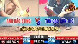 Trận 40 CPC3 1/4/2025 - Bướm Hiệu Bảo Sting Đá Mấy Chân Có Kết Quả