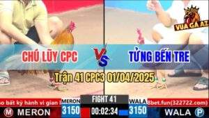Trận 41 CPC3 1/4/2025 - Gà Khét Chú Lũy Đang Thắng Bỏ Chạy, Báo Hàng 6