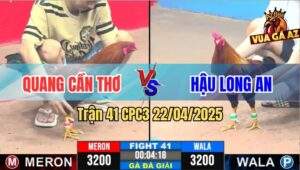 Trận 41 CPC3 22/4/2025 - Vòng 2, Anh Quang Cần Thơ Và Anh Hậu Long An