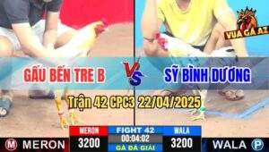 Trận 42 CPC3 22/4/2025 - Vòng 2, Gấu Bến Tre B Và Anh Sỹ Bình Dương