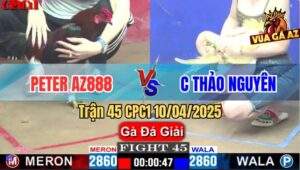Trận 45 CPC1 10/4/2025 - Peter AZ888 Và Chị Thảo Nguyên